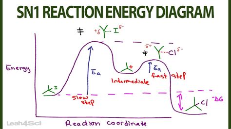 SN1 Reaction Energy Diagram .